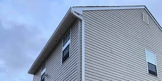 Best Custom Trim and Detailing for Siding  in Walker, MI